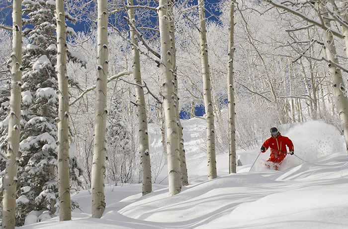 You too could be skiing through Aspen's trees if you have a Mountain Collective Pass. Photo: Aspen Snowmass