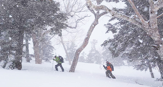 A backcountry tour with Evergreen is a highlight of a trip to Hakuba for any intermediate or advanced skier or rider. Photo: Scout
