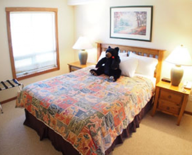 Fireside Lodge 1 Bedroom - Photo: Bear Country