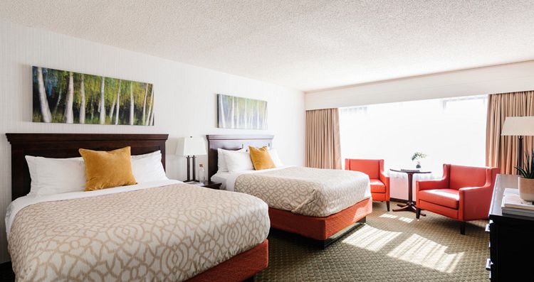 Flexible bedding options and family rooms. Photo: Pursuit - image_4