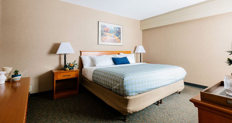 Good range of rooms to choose from. Photo: Pursuit - image_4