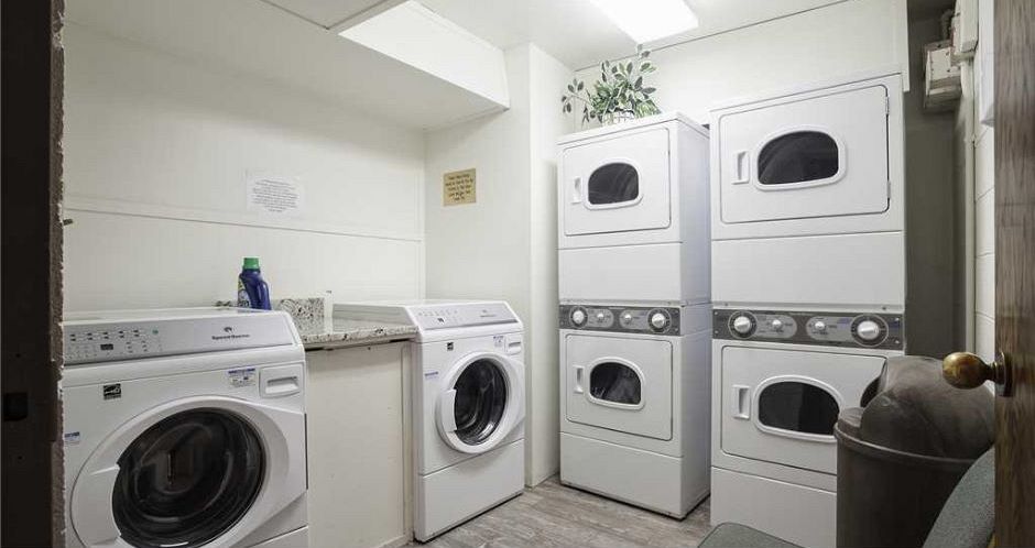 Laundry facilities on-site for convenience. Photo: Bronze Tree - image_7
