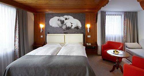 Europe Hotel & Spa - Zermatt - Switzerland - image_5