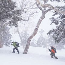 Evergreen Backcountry Day Tour - Hakuba