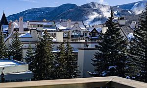 Vail : The Lion
