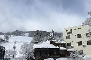 Alp Lodge - Hakuba