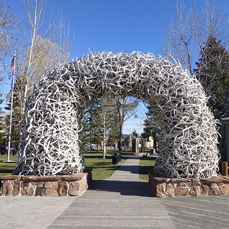 Jackson Hole locals do it proud