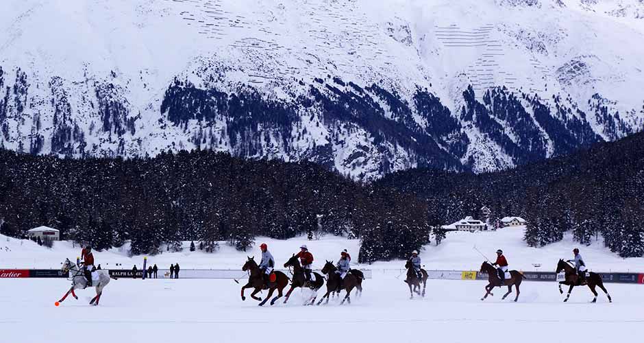 Plenty of chances to catch a polo match. Photo: Scout - image 0