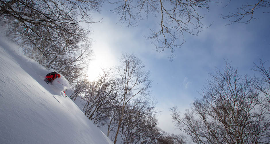 Skiing powder in Japan is a must for every keen skier. Picture: Kiroro Ski Resort