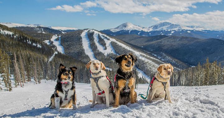 Keystone Ski Resort