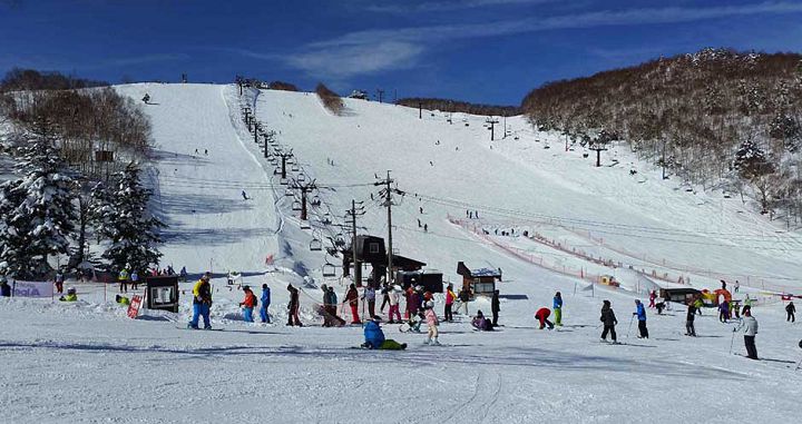 Shiga Kogen Ski Resort | Honshu | Deals & Book - Scout